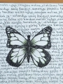 3–4 klasių gimnazistų literatūros kūrinių iliustracijos